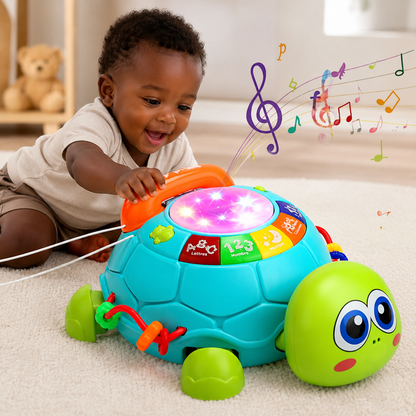 Tortue musicale éducative interactive